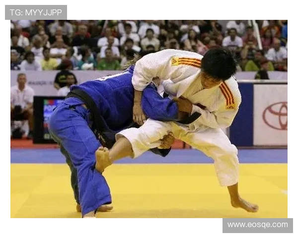 柔道世界纪录全解析从速度力量到技艺巅峰的传奇征程