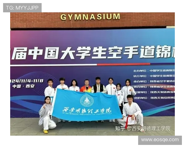 空手道世界纪录挑战与突破：历史性的成绩与未来的发展趋势